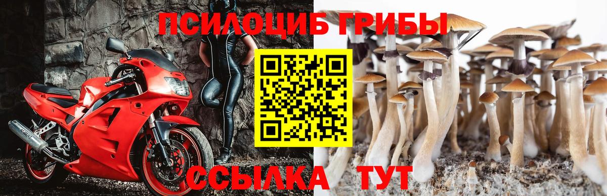 Кокаин Приморско-Ахтарск