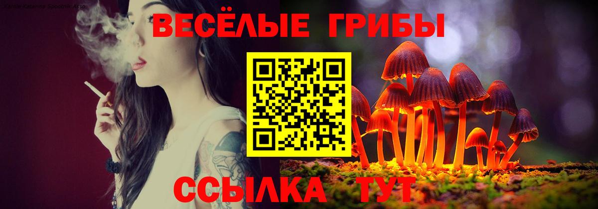 Приморско-Ахтарск  Псилоцибиновые грибы GOLDEN TEACHER  где купить   Вход с VPN 